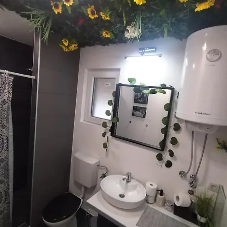 Merlin House 펜션 Vrnjačka Banja