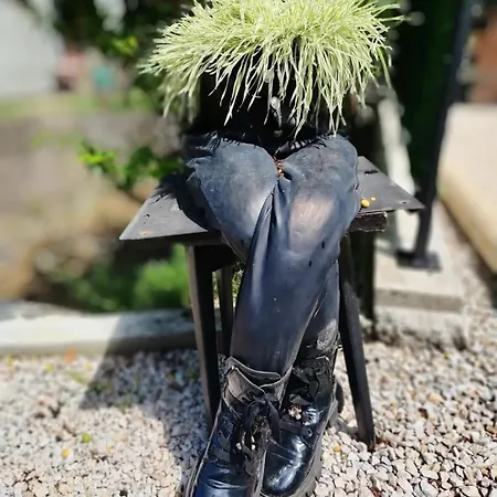 Merlin Kuca Prázdninový dům