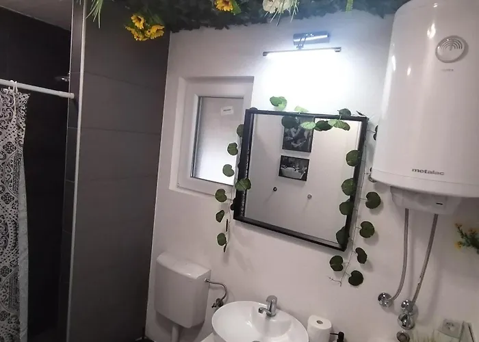 Merlin Kuca 別荘 Vrnjačka Banja